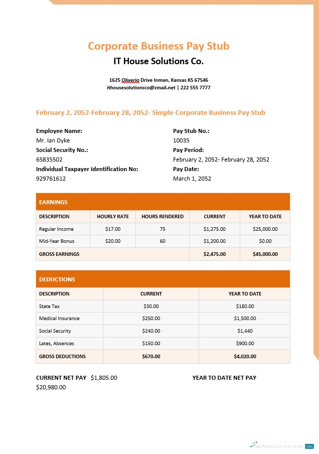 Download IT house solutions Co. pay stub in PDf and Word formats Photoshop template